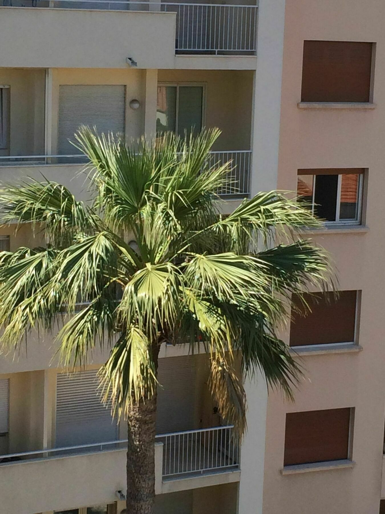Appartement De Gamme - Centre Cannes