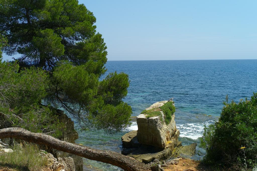 Apartamento De Gamme - Centre Cannes
